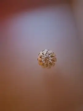 cuci45 online show from March 31, 6:30 pm