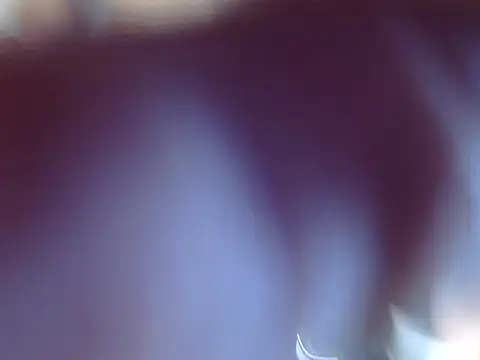 Snapshot of OSIRlS chatting on December 12, 9:37 pm OSIRlS online show from December 12, 9:37 pm