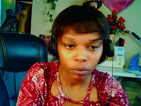 Anaconda2350 online show from July 30, 9:41 am
