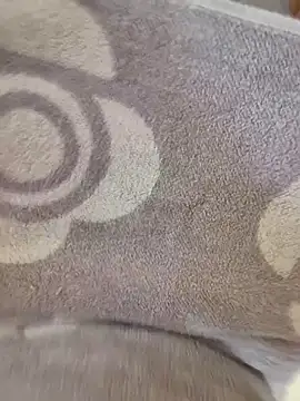 cuminpussyalot online show from March 8, 1:26 pm