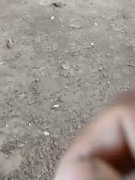 Snapshot of dheck2020 chatting on January 7, 6:45 pm dheck2020 online show from January 7, 6:45 pm