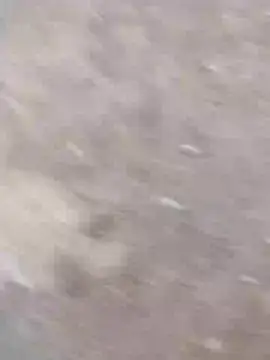 Snapshot of dheck2020 chatting on January 7, 11:45 pm dheck2020 online show from January 7, 11:45 pm