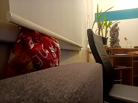 Snapshot of Ebinator666 chatting on January 21, 2:33 am Ebinator666 online show from January 21, 2:33 am