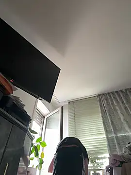 Toyjungee online show from July 27, 11:39 am