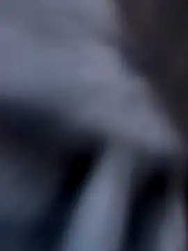 Fellix online show from December 3, 11:44 am