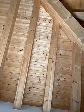 Fellix online show from October 27, 11:47 am