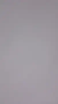 Maple Honeycome online show from December 22, 7:11 am