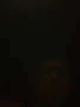 Snapshot of Likewise chatting on December 26, 1:54 pm Likewise online show from December 26, 1:54 pm