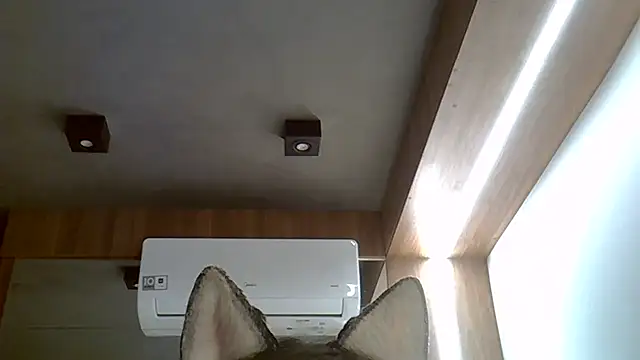 Snapshot of Skinny-Kitten chatting on September 20, 2:45 am Skinny-Kitten online show from September 20, 2:45 am