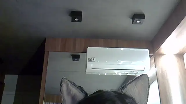 Snapshot of Skinny-Kitten chatting on September 30, 9:31 pm Skinny-Kitten online show from September 30, 9:31 pm