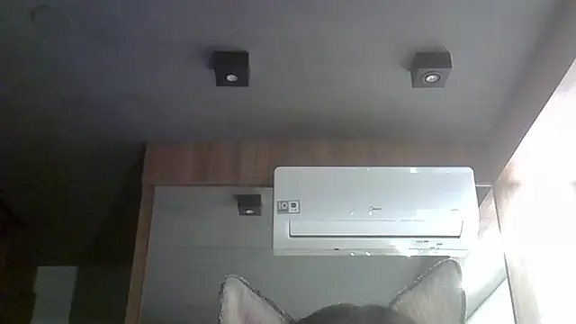 Snapshot of Skinny-Kitten chatting on October 4, 12:30 am Skinny-Kitten online show from October 4, 12:30 am