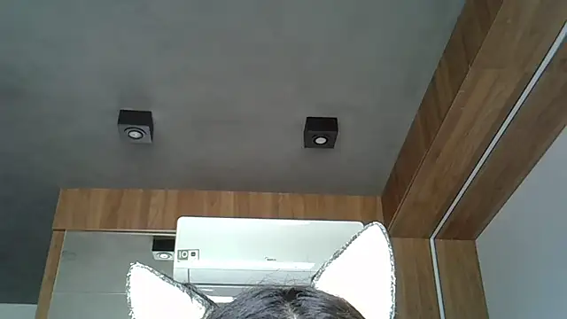 Snapshot of Skinny-Kitten chatting on October 12, 2:27 pm Skinny-Kitten online show from October 12, 2:27 pm