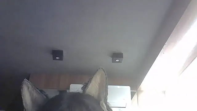 Skinny-Kitten online show from February 14, 2:03 pm