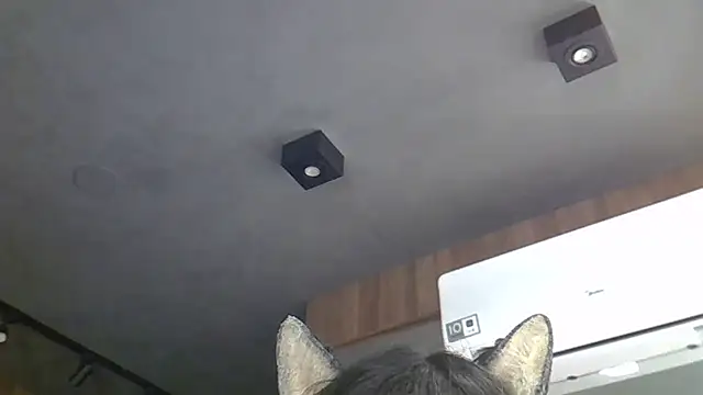 Skinny-Kitten online show from March 4, 5:24 am