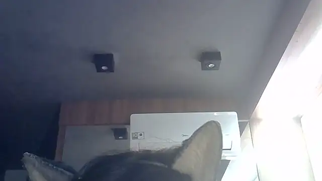 Snapshot of Skinny-Kitten chatting on June 9, 9:32 am Skinny-Kitten online show from June 9, 9:32 am