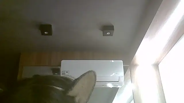 Snapshot of Skinny-Kitten chatting on June 17, 3:46 pm Skinny-Kitten online show from June 17, 3:46 pm