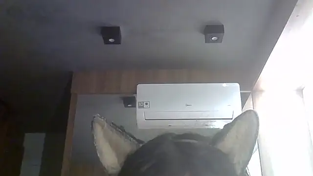 Snapshot of Skinny-Kitten chatting on June 27, 1:28 pm Skinny-Kitten online show from June 27, 1:28 pm