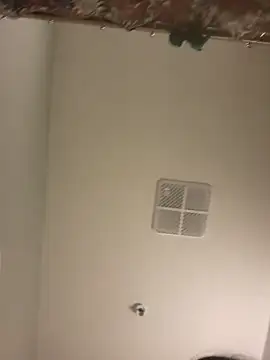 lofibunni online show from April 11, 5:17 pm