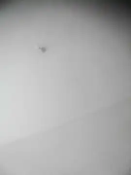 bestofyalcinturkey online show from December 3, 12:49 pm