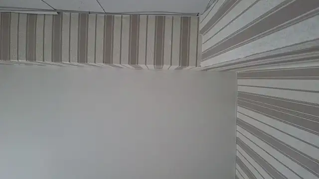 Snapshot of lily__foster chatting on September 22, 5:42 am lily foster online show from September 22, 5:42 am