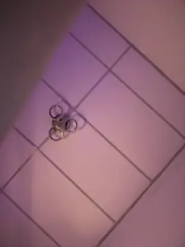 Charly  online show from December 18, 5:13 am