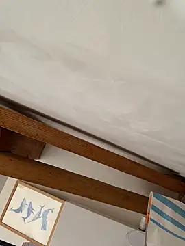 la chiennete online show from February 25, 3:10 pm