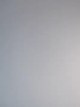 Snapshot of Delicy1 chatting on February 12, 4:44 pm Delicy1 online show from February 12, 4:44 pm