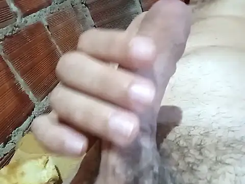 w31 online show from November 10, 2:21 am