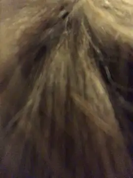  Sweet Love  online show from March 29, 1:00 pm