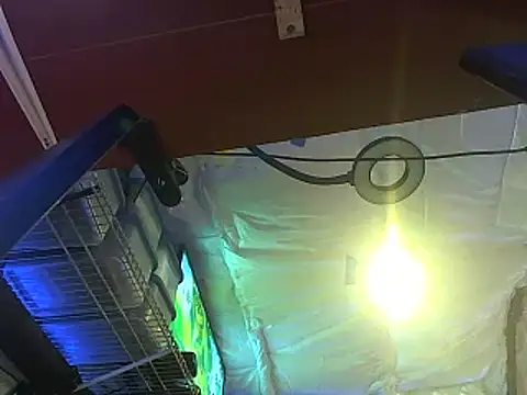 Snapshot of CloudDadddyyy420 chatting on October 15, 10:43 pm CloudDadddyyy420 online show from October 15, 10:43 pm