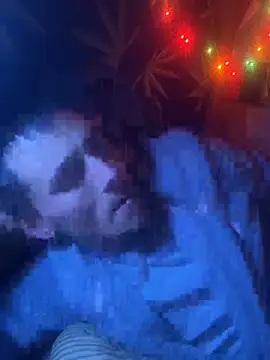 Snapshot of bugboy chatting on February 9, 6:06 am bugboy online show from February 9, 6:06 am