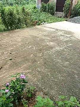 Snapshot of COUPLLE_VILLAGE chatting on September 18, 2:35 am COUPLLE VILLAGE online show from September 18, 2:35 am