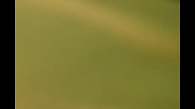 -AyeshaSinghania- online show from March 26, 10:21 am