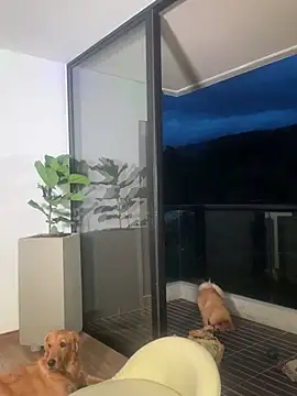 Snapshot of Helenbronwx chatting on December 22, 11:09 pm Helenbronwx online show from December 22, 11:09 pm