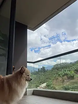 Snapshot of Helenbronwx chatting on January 6, 6:52 pm Helenbronwx online show from January 6, 6:52 pm