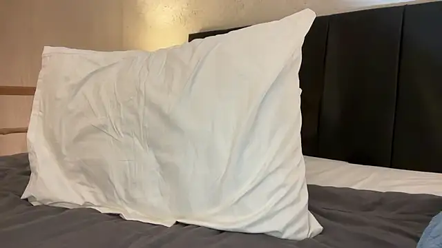  liatris  online show from March 1, 3:27 pm