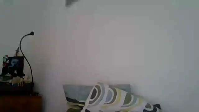 joaodias 97 online show from February 17, 2:26 pm