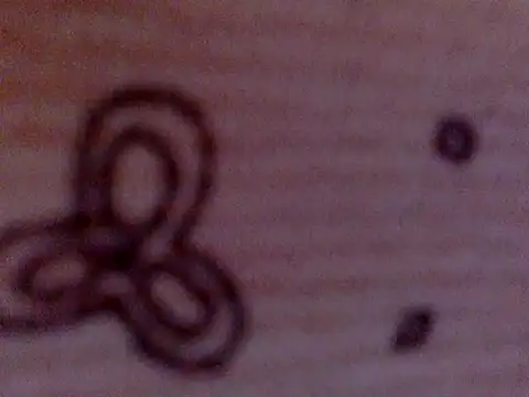 Snapshot of soniasharma0223 chatting on February 17, 5:47 am soniasharma0223 online show from February 17, 5:47 am