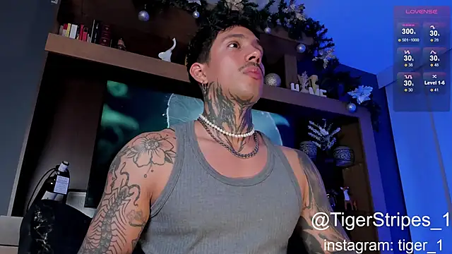 Snapshot of TigerStripes1_ chatting on January 4, 4:44 am TigerStripes1 online show from January 4, 4:44 am