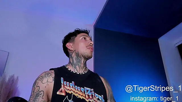 Snapshot of TigerStripes1_ chatting on February 1, 2:37 am TigerStripes1 online show from February 1, 2:37 am