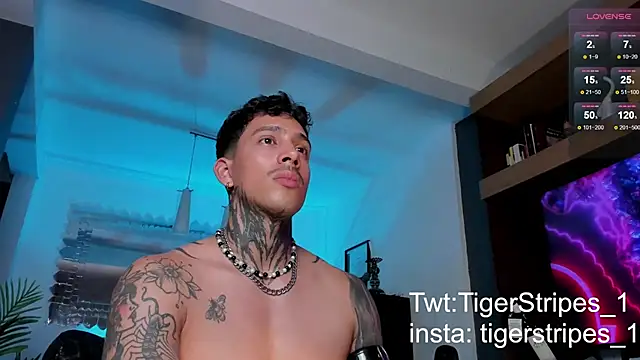 Snapshot of TigerStripes1_ chatting on February 12, 12:05 am TigerStripes1 online show from February 12, 12:05 am