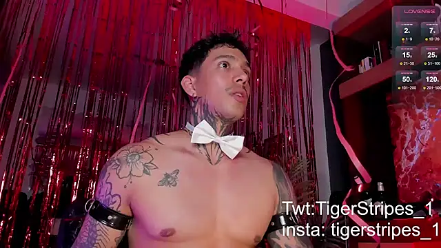 Snapshot of TigerStripes1_ chatting on February 15, 12:15 am TigerStripes1 online show from February 15, 12:15 am