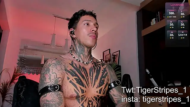 Snapshot of TigerStripes1_ chatting on February 22, 4:18 am TigerStripes1 online show from February 22, 4:18 am