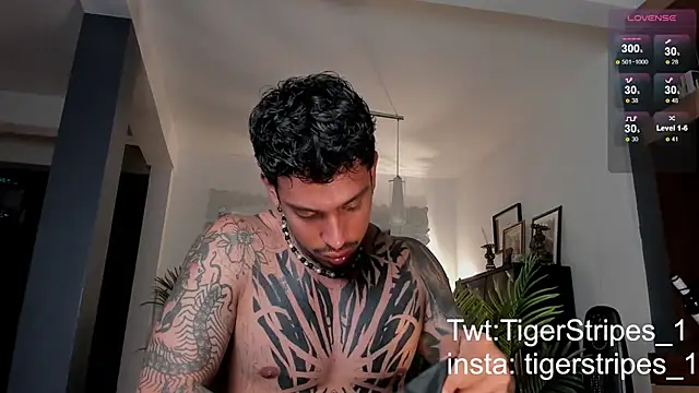 Snapshot of TigerStripes1_ chatting on February 28, 12:43 am TigerStripes1 online show from February 28, 12:43 am