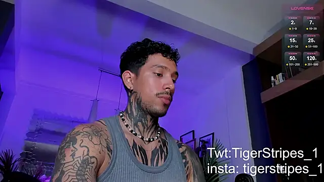 Snapshot of TigerStripes1_ chatting on March 2, 1:47 am TigerStripes1 online show from March 2, 1:47 am