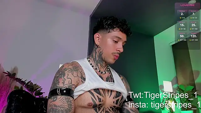 Snapshot of TigerStripes1_ chatting on March 22, 12:39 am TigerStripes1 online show from March 22, 12:39 am