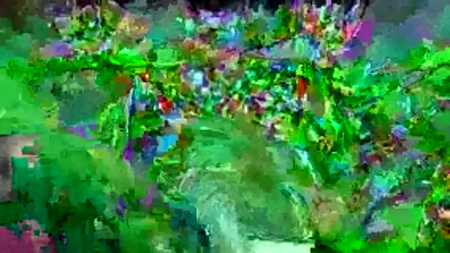 Snapshot of bigdon5169 chatting on May 1, 2:54 pm bigdon5169 online show from May 1, 2:54 pm