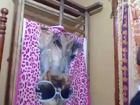 sweetbabra1 online show from February 11, 5:58 am