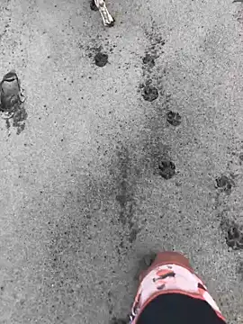 Snapshot of kvr27 chatting on February 24, 1:20 pm kvr27 online show from February 24, 1:20 pm