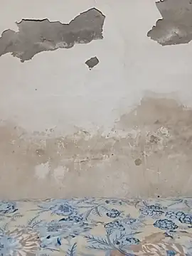 09punjabi online show from October 27, 11:03 am